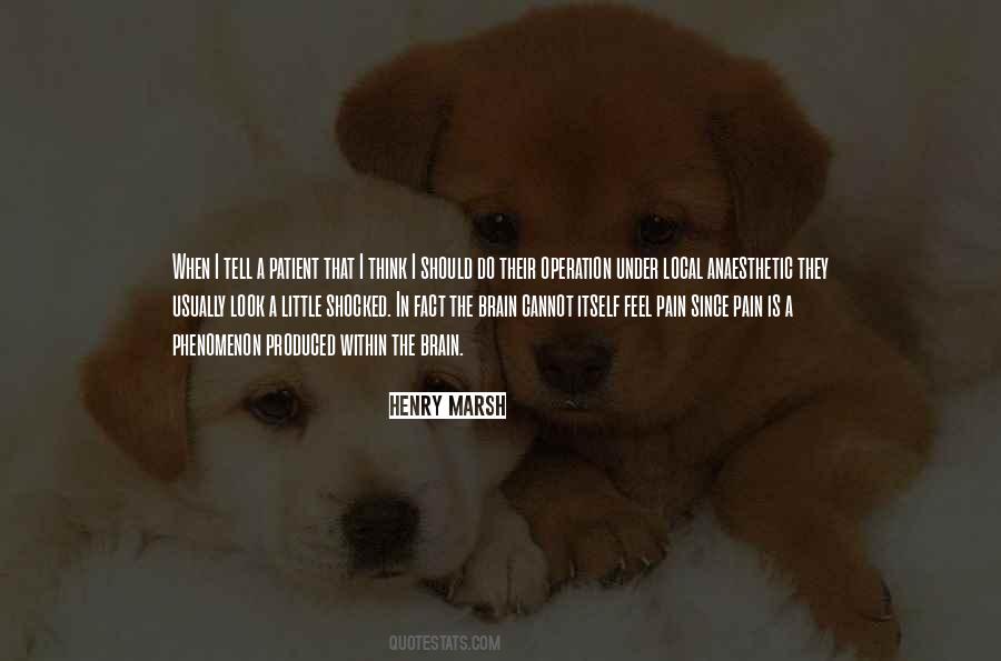 The Pain I Feel Quotes #1139449