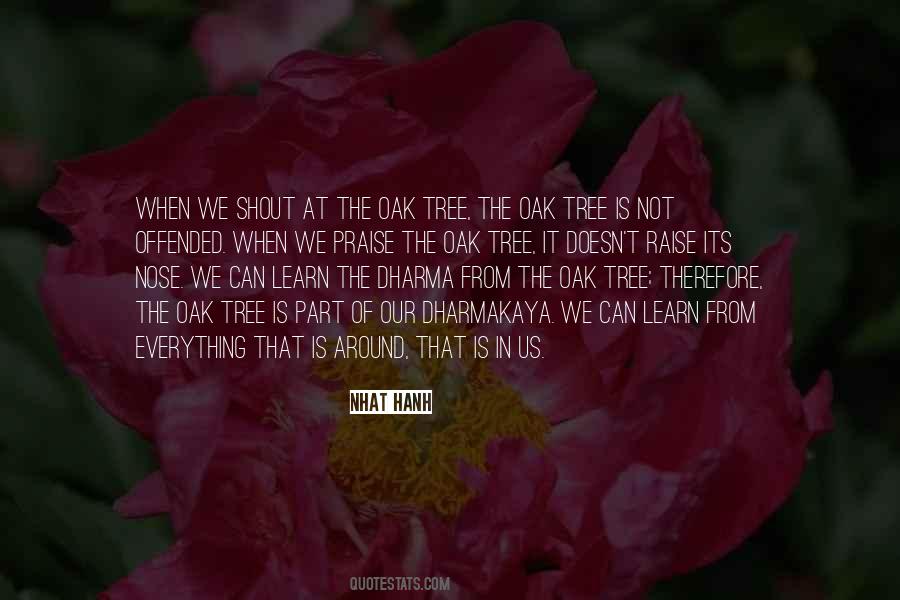 Quotes About Can Learn #1233510