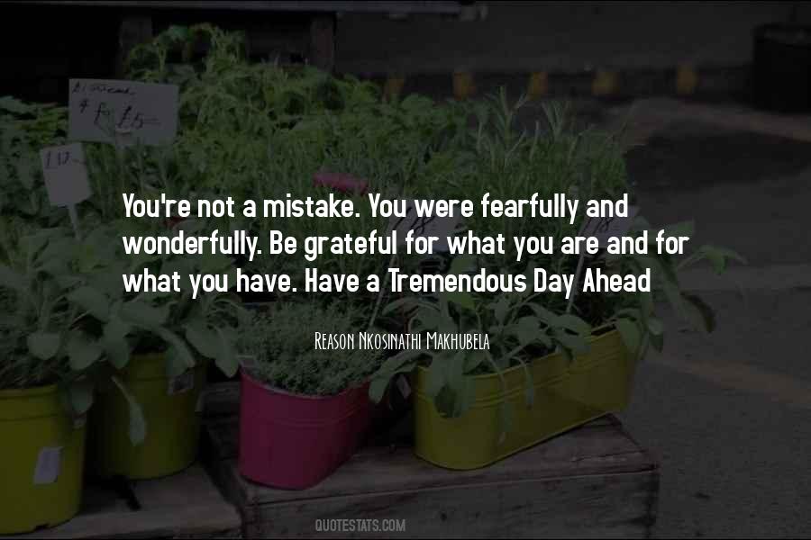 You Are Not A Mistake Quotes #950096