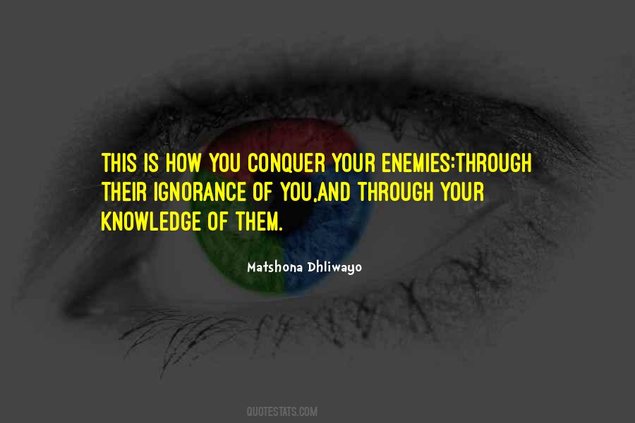 Conquer Your Enemies Quotes #241013