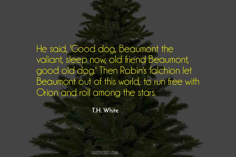Sleep Dog Quotes #1056689