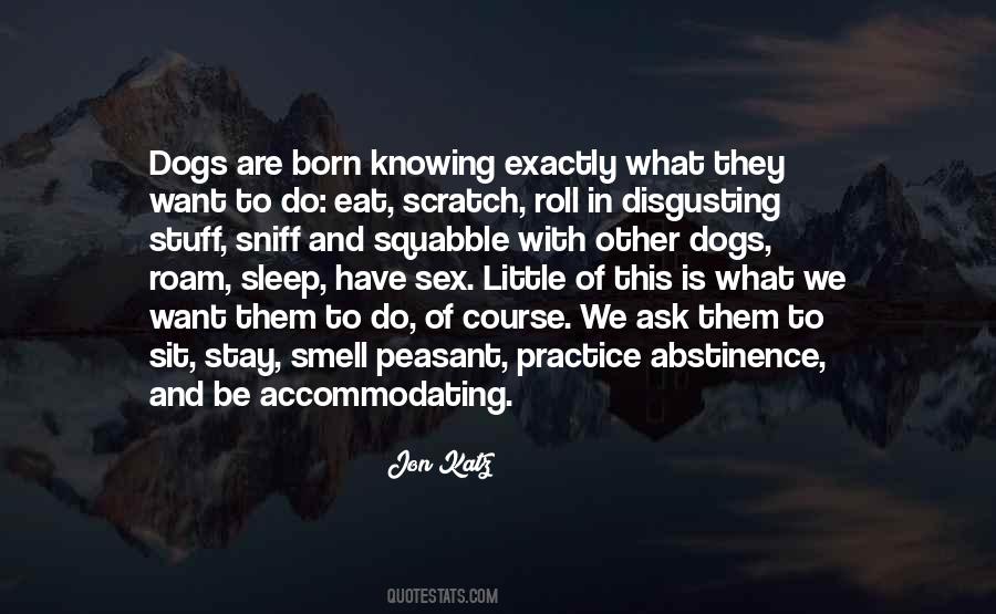 Sleep Dog Quotes #1457730