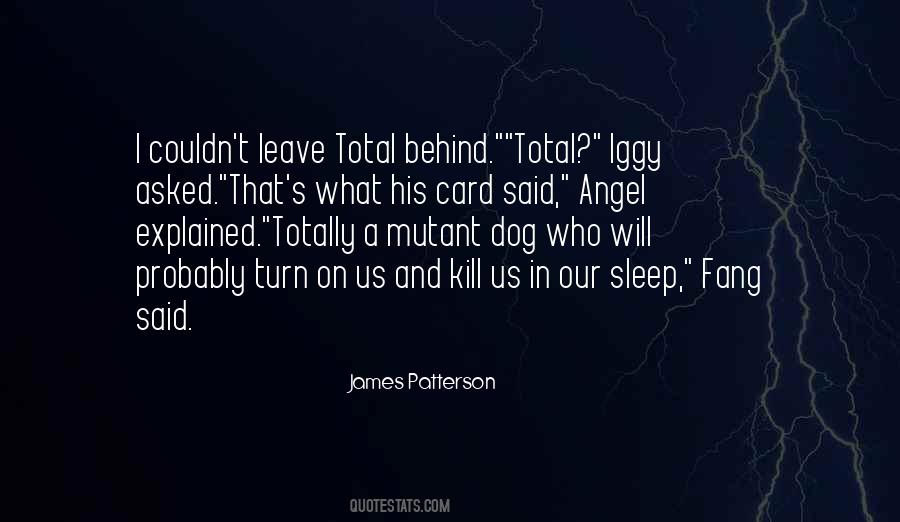 Sleep Dog Quotes #1557988