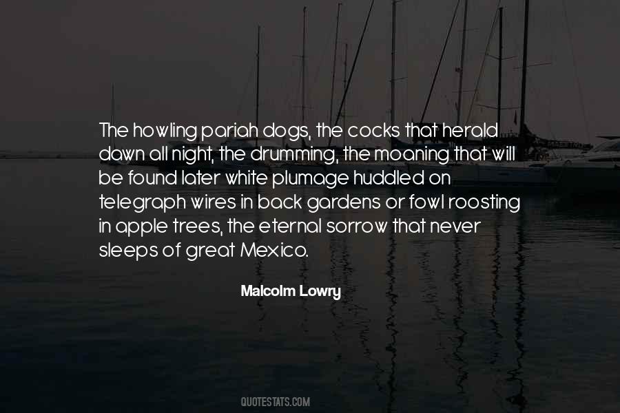 Sleep Dog Quotes #1748612