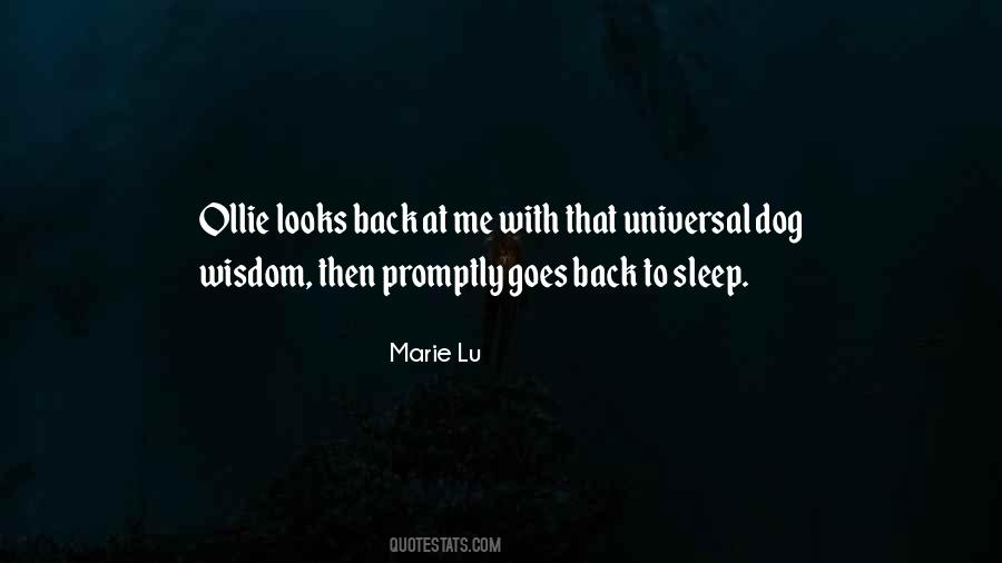 Sleep Dog Quotes #484410