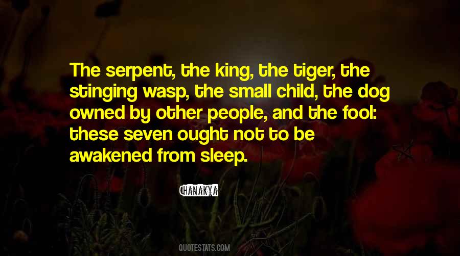 Sleep Dog Quotes #526625