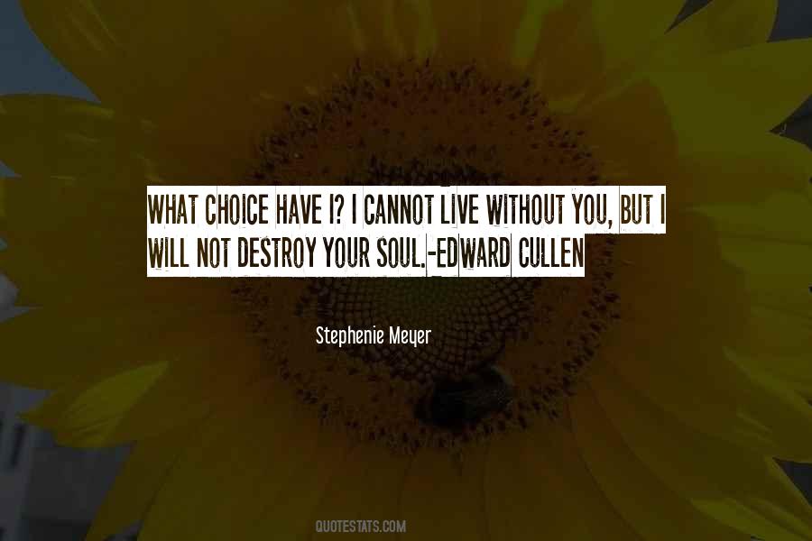 I Will Destroy You Quotes #439753