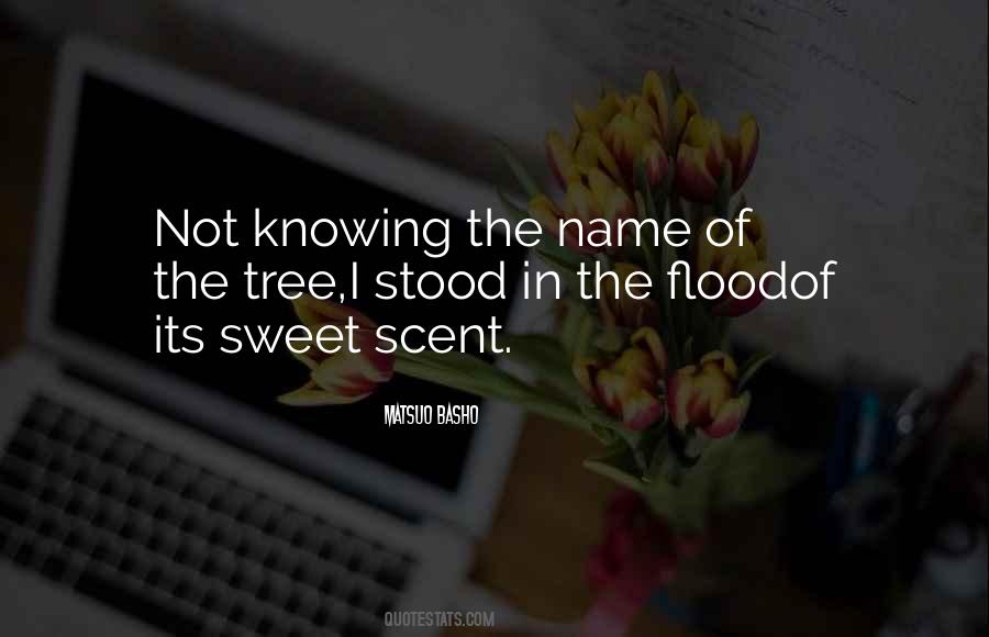Poetry Nature Quotes #1121500
