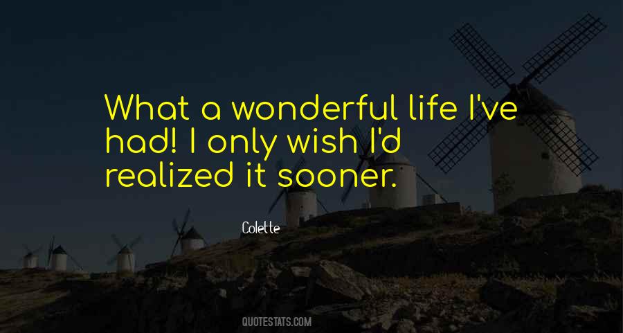 What A Wonderful Life Quotes #1834444