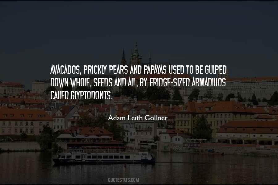 Adam Page Quotes #1484956