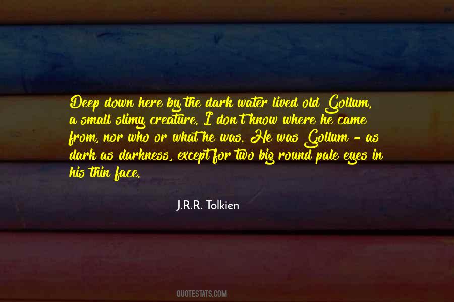 In The Dark In Quotes #103519