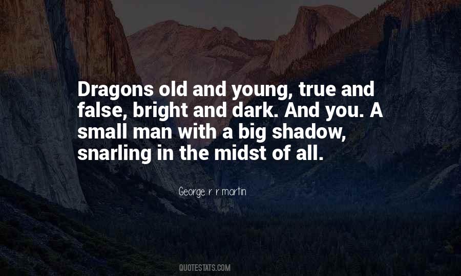 In The Dark In Quotes #1222