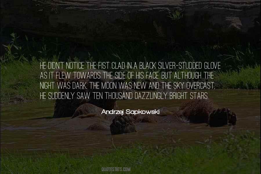 In The Dark In Quotes #6092
