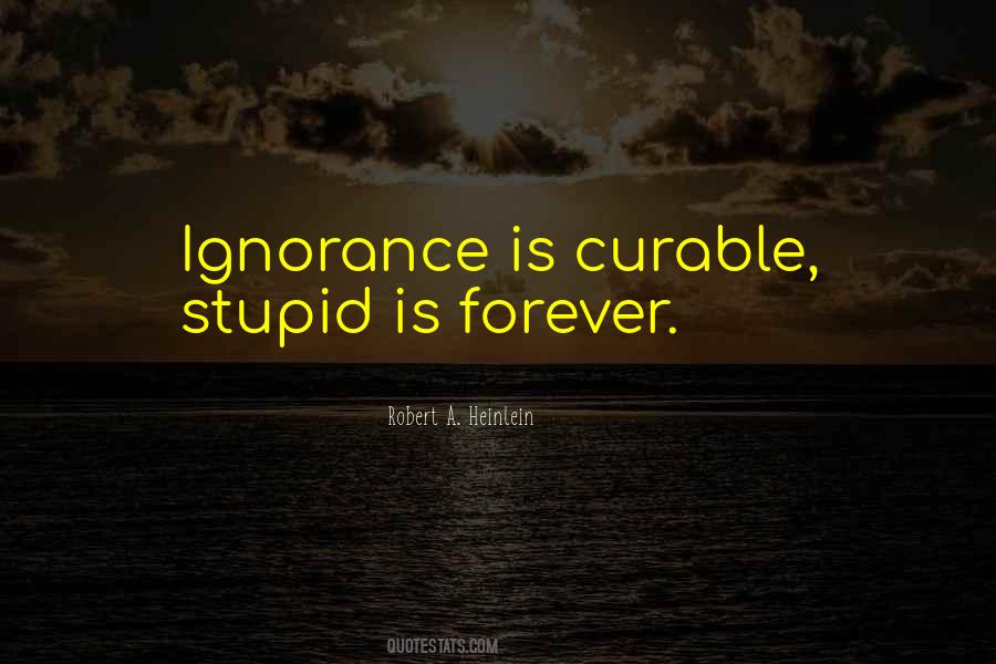 Stupid Is Quotes #105176