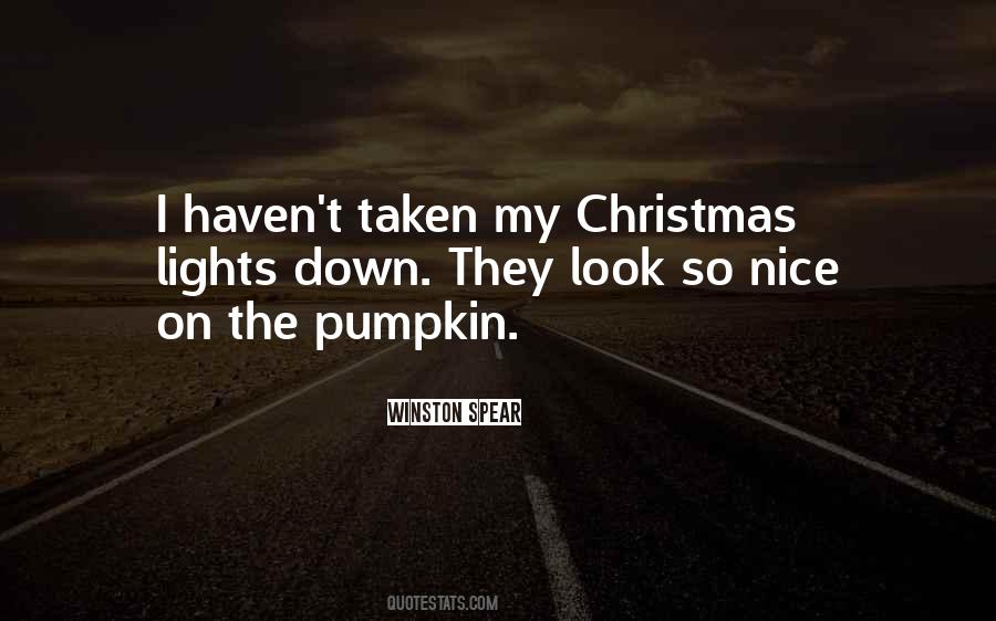 Funny Christmas Lights Quotes #569753