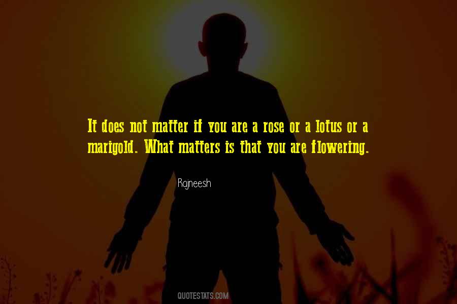 Love What Matters Quotes #590650