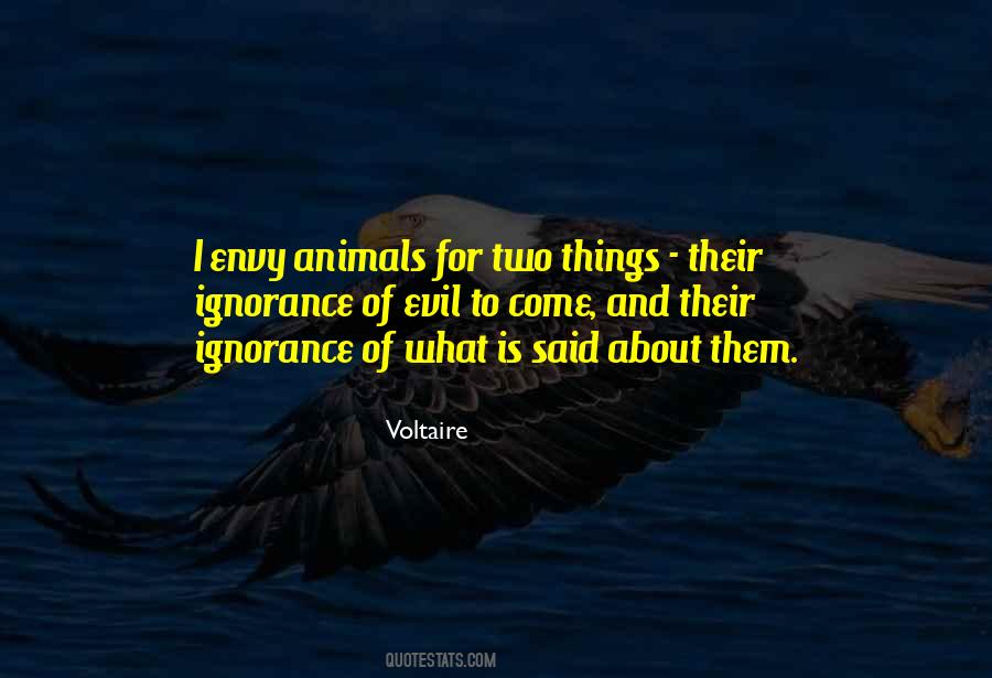 Envy Is Ignorance Quotes #628853