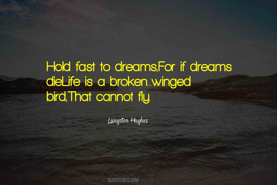 A Broken Hope Quotes #1037996