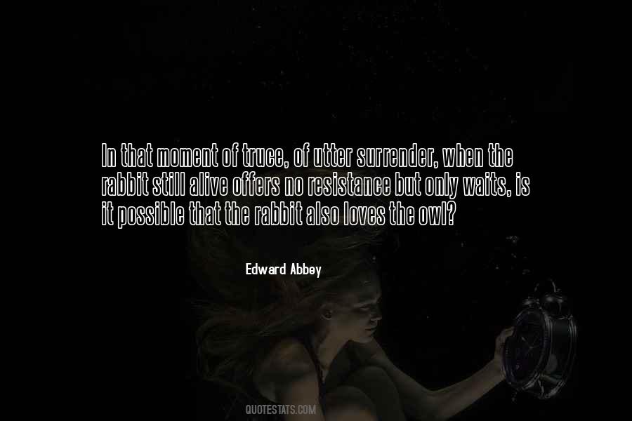 Still Moment Quotes #129334
