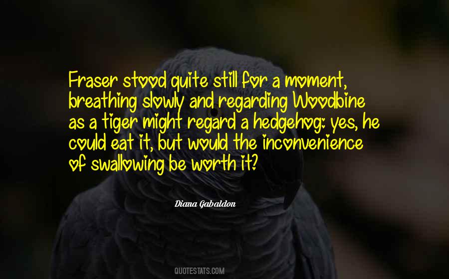 Still Moment Quotes #255067