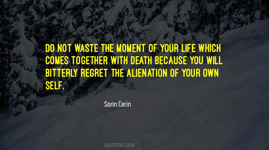 Do Not Waste Your Life Quotes #1018832