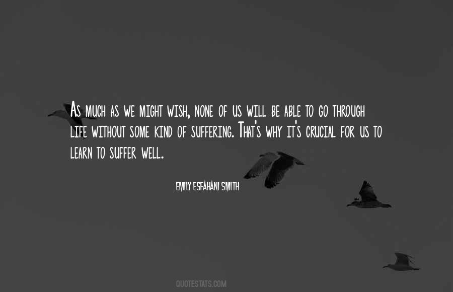 Wish Us Well Quotes #756659