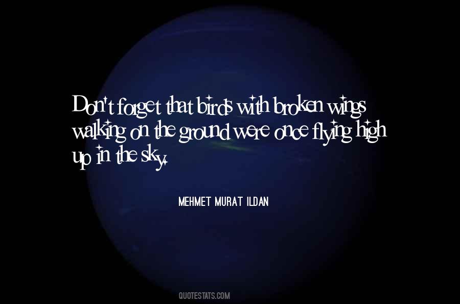 Birds Flying High Quotes #552078