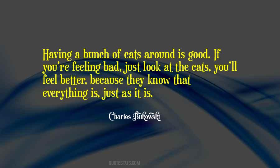 Cats Happiness Quotes #764731