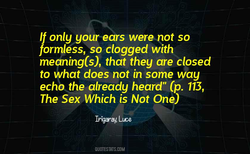 Echo With Quotes #311939