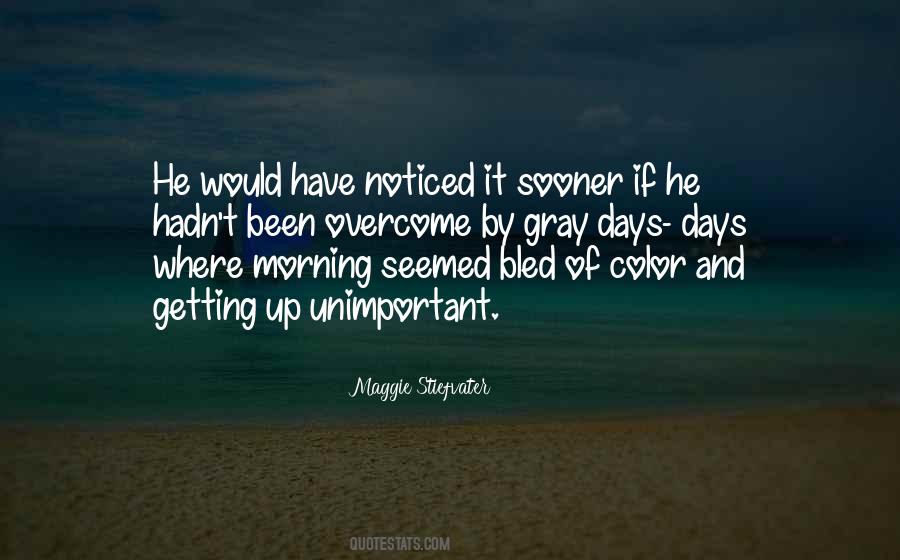Quotes About Gray Color #1646744