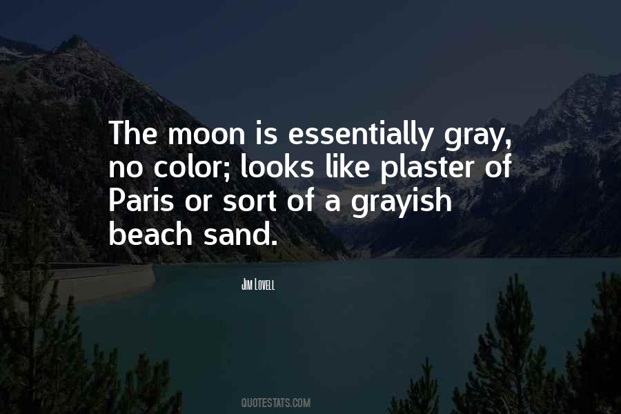 Quotes About Gray Color #834150