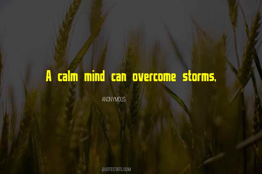 Overcome Storms Quotes #993236