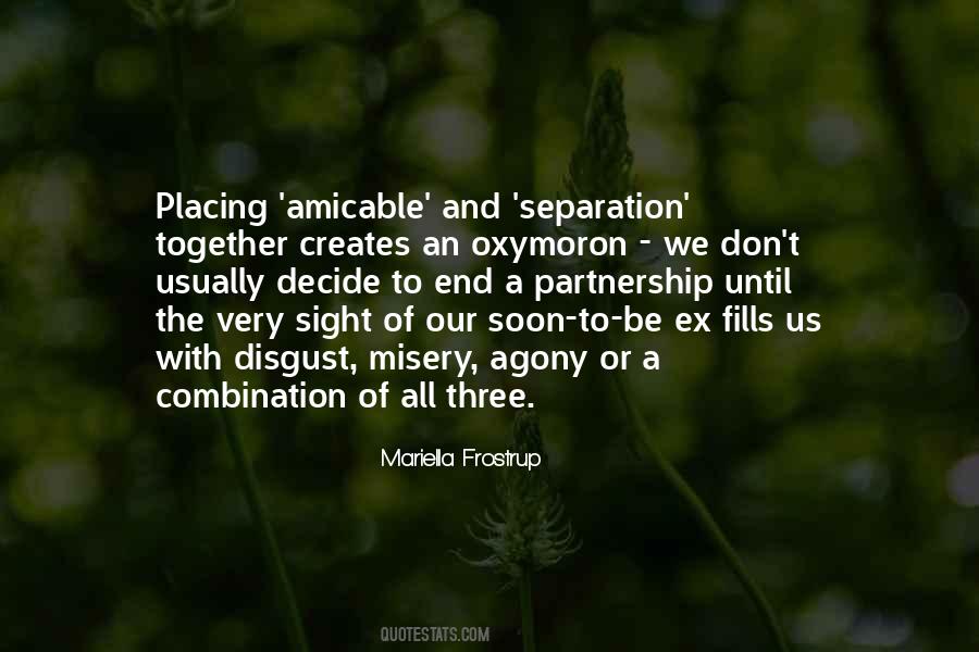 End The Misery Quotes #1307358