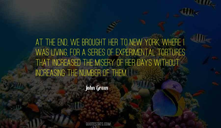 End The Misery Quotes #1670835