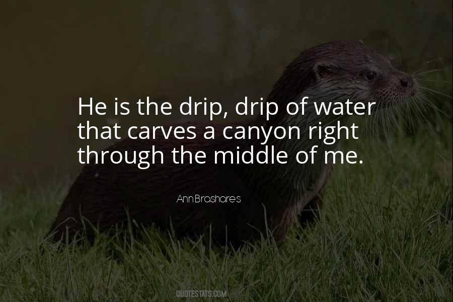 Drip By Drip Quotes #225377