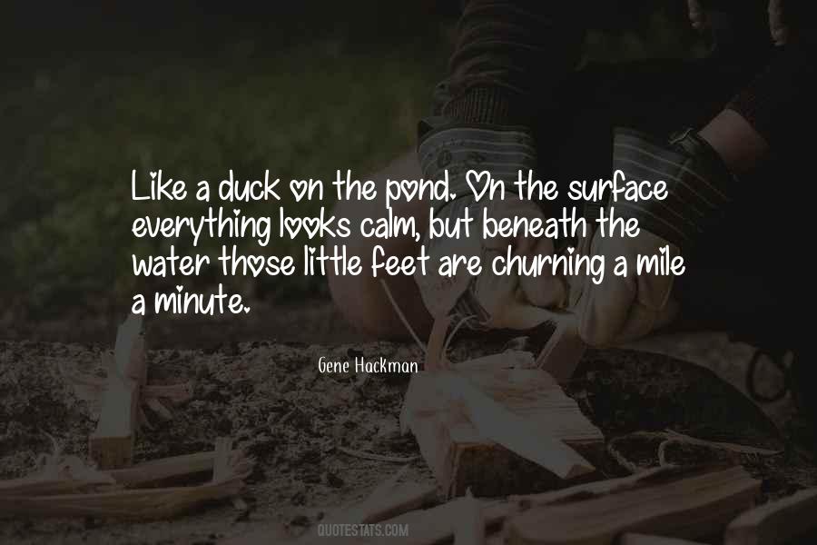 Be Like A Duck Calm On The Surface Quotes #194499