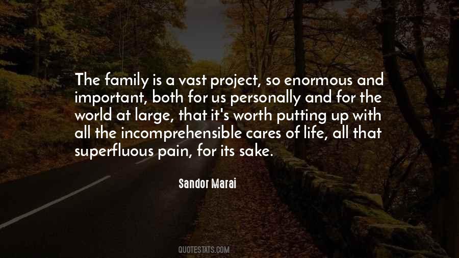Family Is So Important Quotes #1246067