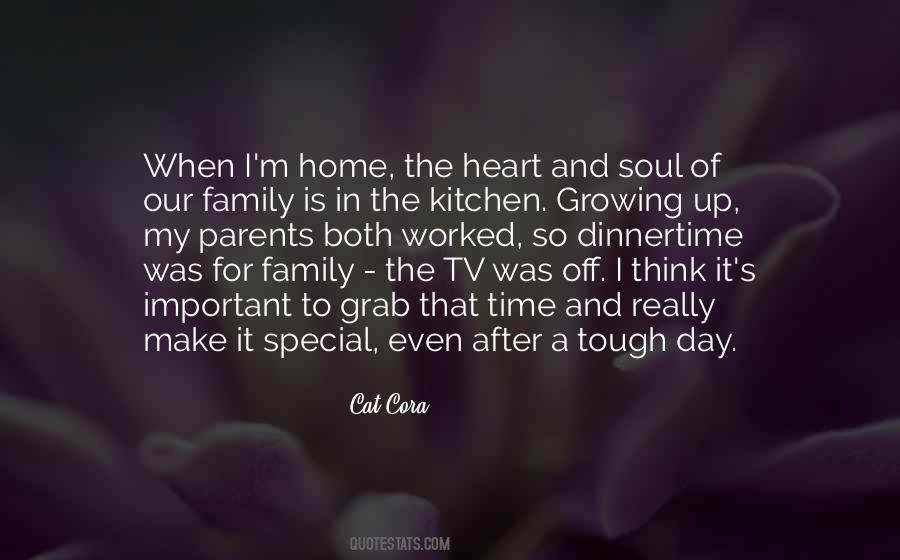 Family Is So Important Quotes #1292005