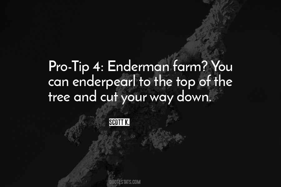 Top Tip Quotes #1848523