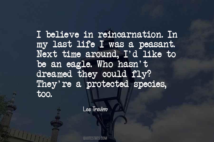 In Fly Quotes #532041