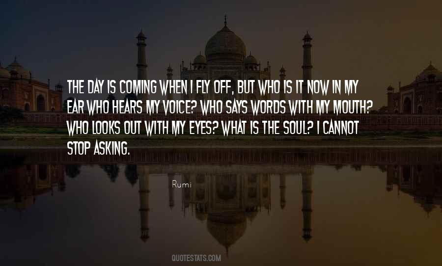 In Fly Quotes #539935
