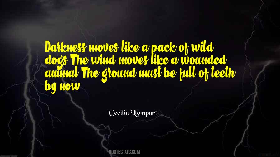 Wind Poetry Quotes #1338648