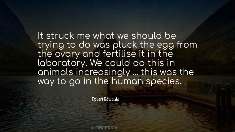 What Should Be In Quotes #305295