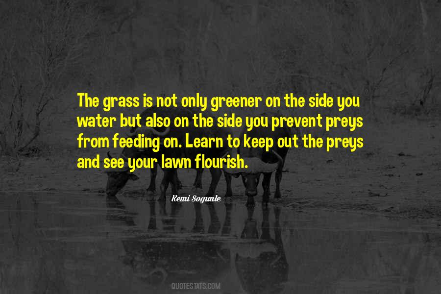 Quotes About Grass Greener #481738