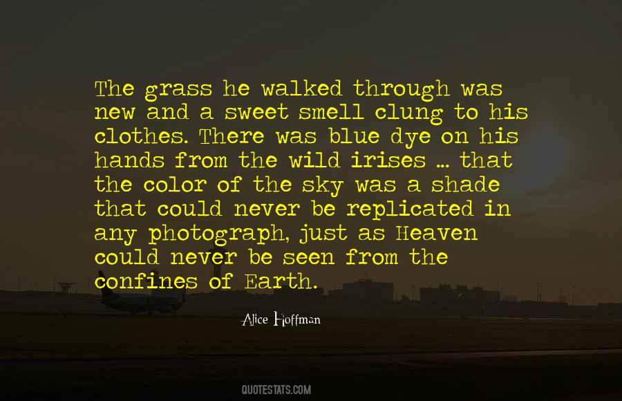 Quotes About Grass And Sky #803194