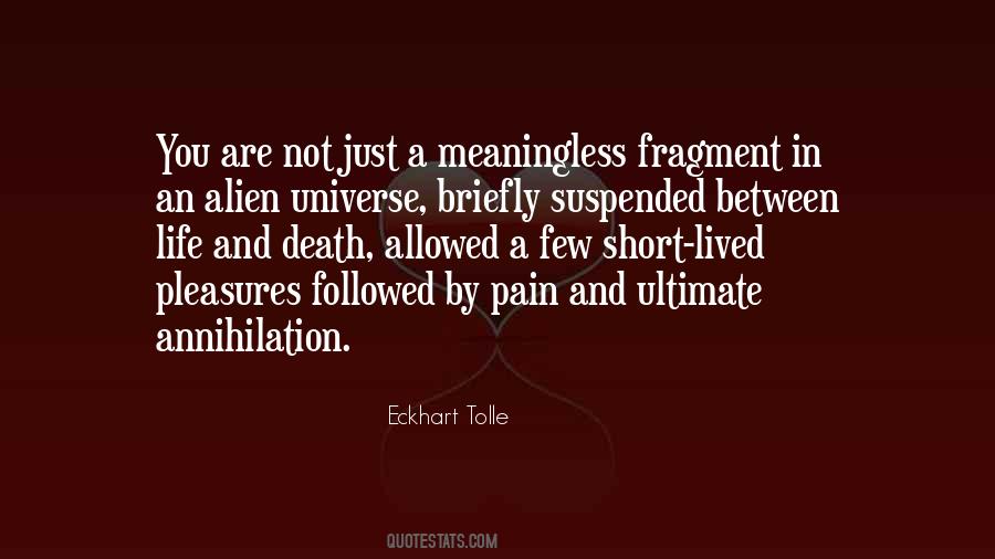 Universe Is Meaningless Quotes #1009425
