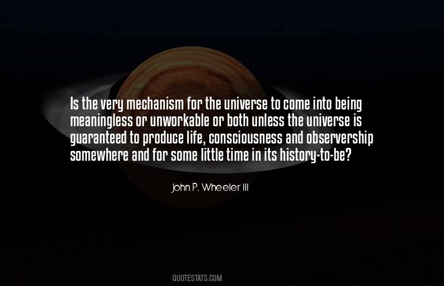 Universe Is Meaningless Quotes #321955