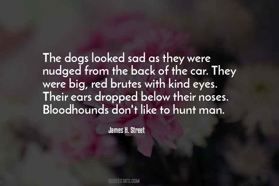 Sad Car Quotes #616778