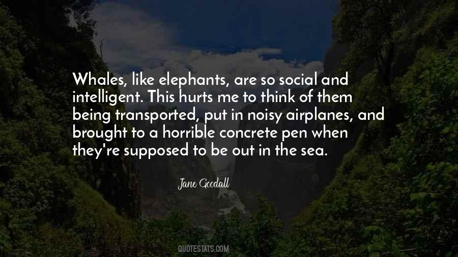 Being At Sea Quotes #432774