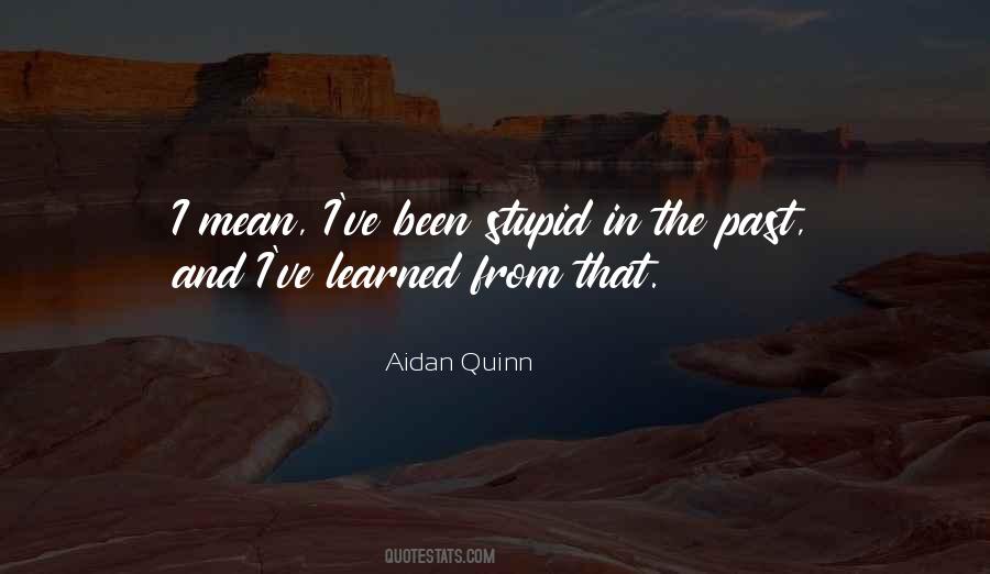 Been Stupid Quotes #123488